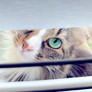 Meet your Posher, Stacey